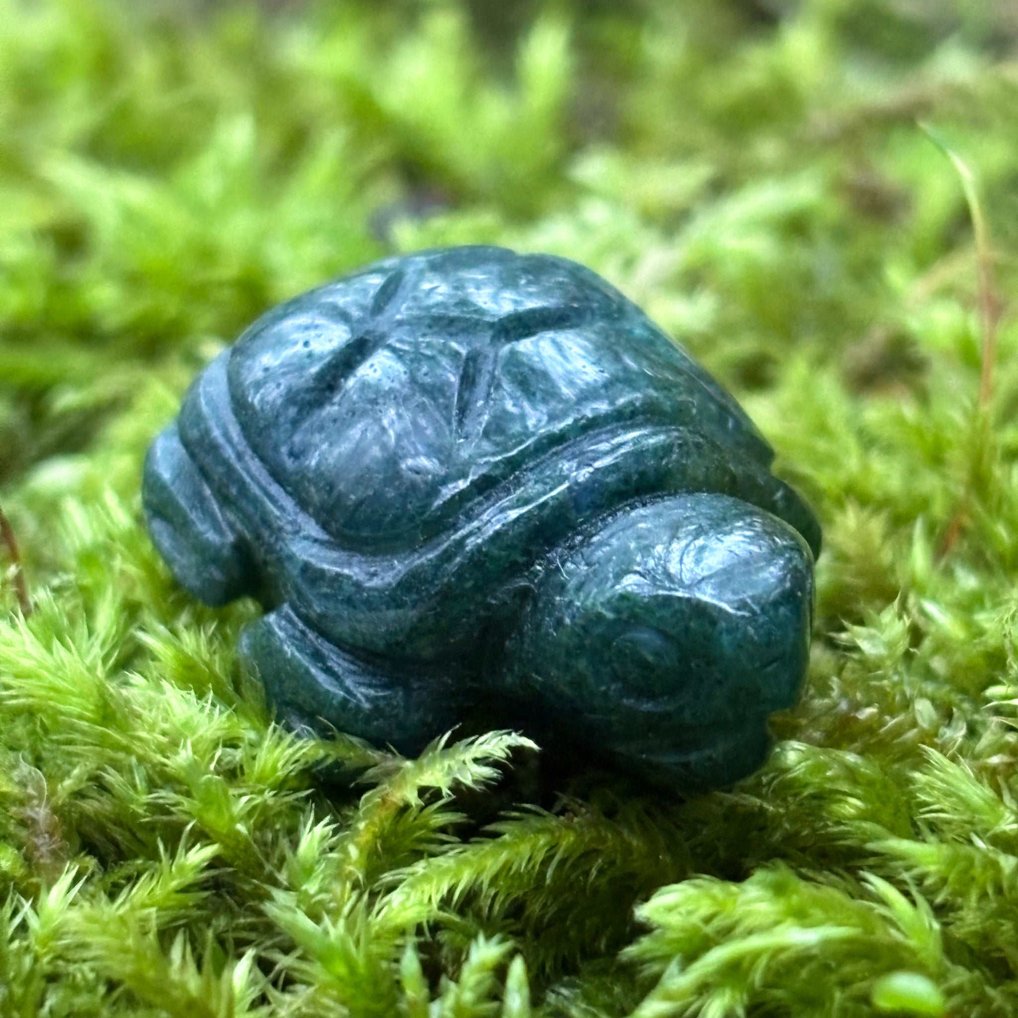 Turtle |  1 inch